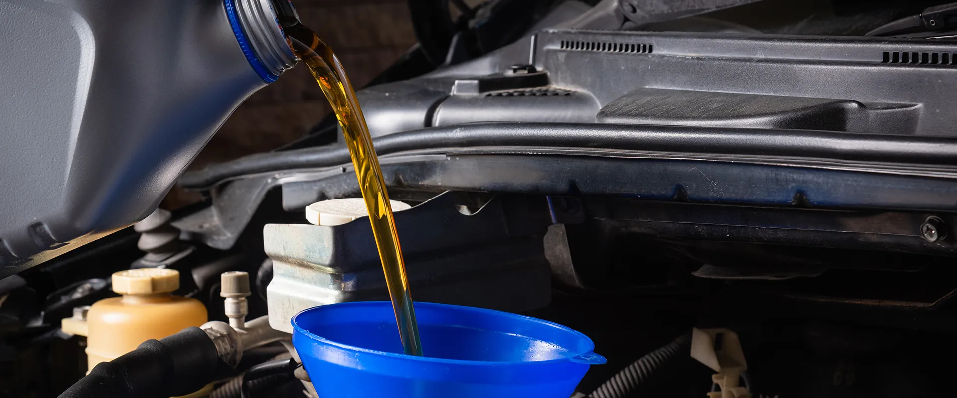 Oil Changes near Not Found